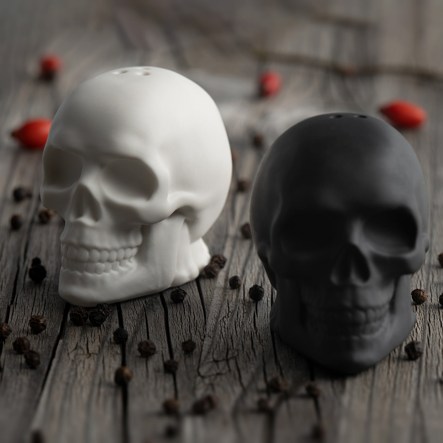 Porcelain Skull Salt & Pepper Shaker Set